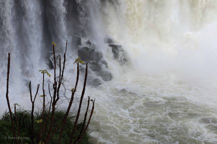 Iguazu Falls - Force of Water