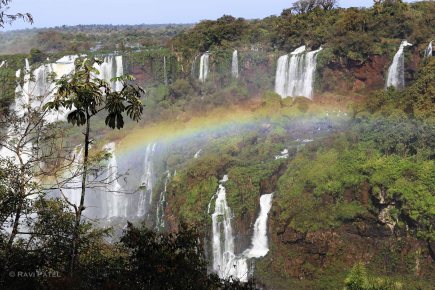 Iguazu Falls - Rainbow Sighting