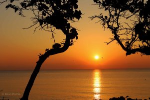 Florida - Delray Beach - Sunrise Framed