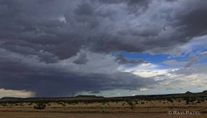 Rain Clouds in New Mexico