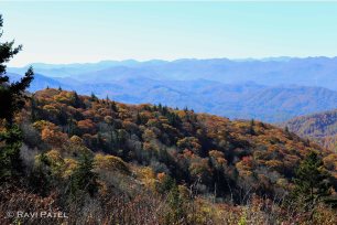 Blue Ridges and Fall Colors