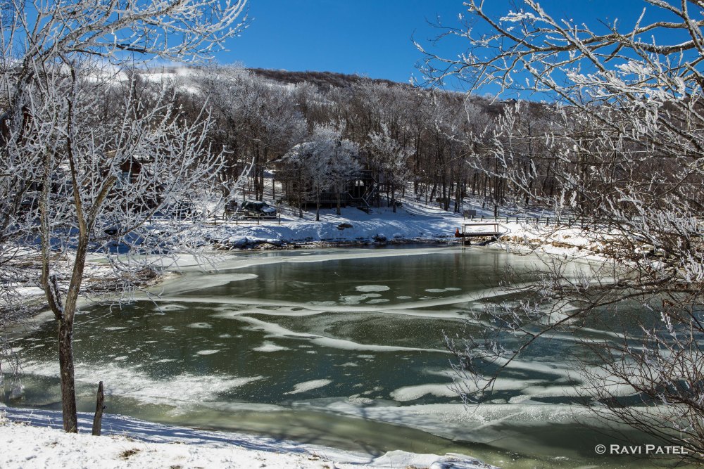 A Winter Scene on a Pond