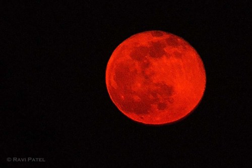 Bright Orange Full Moon
