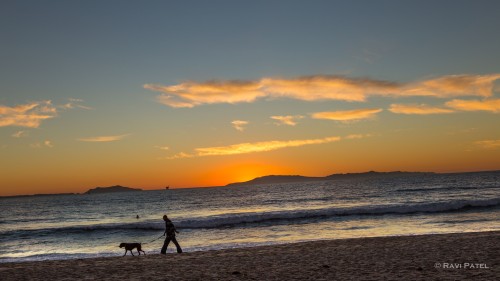 A Man and HIs Best Friend at Sunset