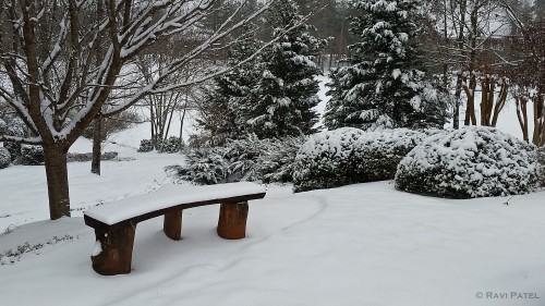 An Empty Snow Bench
