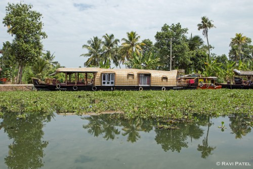 A Typical Kerala Backwaters Scene